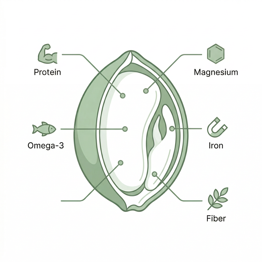 Hemp Seeds: The Complete Science-Backed Guide to Nature's Most Underrated Superfood