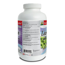 Lecithin Natural Soy Source ingredient