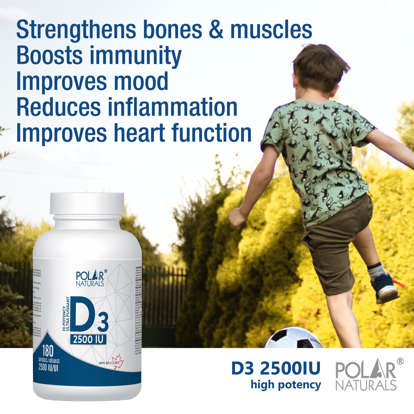 Strendthems Bones and Muscles Boost Immunity