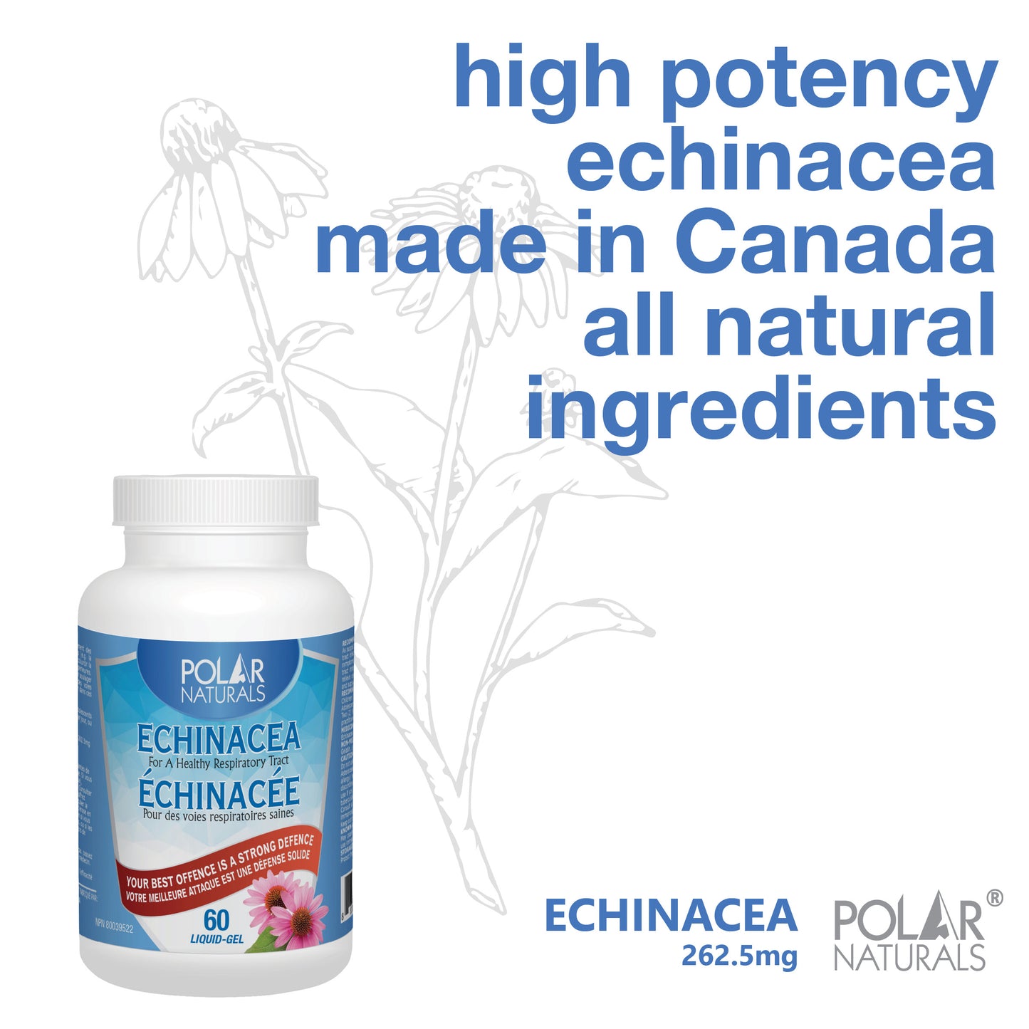 Polar Naturals Echinacea 60 Capsules