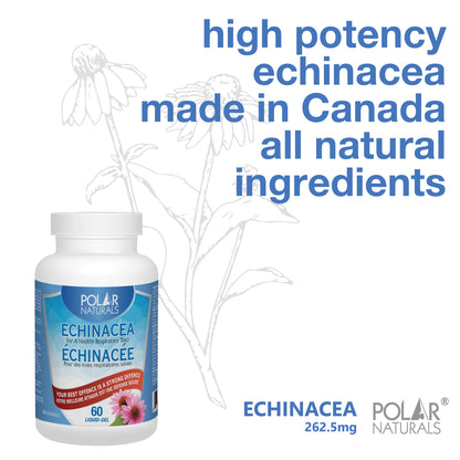 Polar Naturals Echinacea 60 Capsules