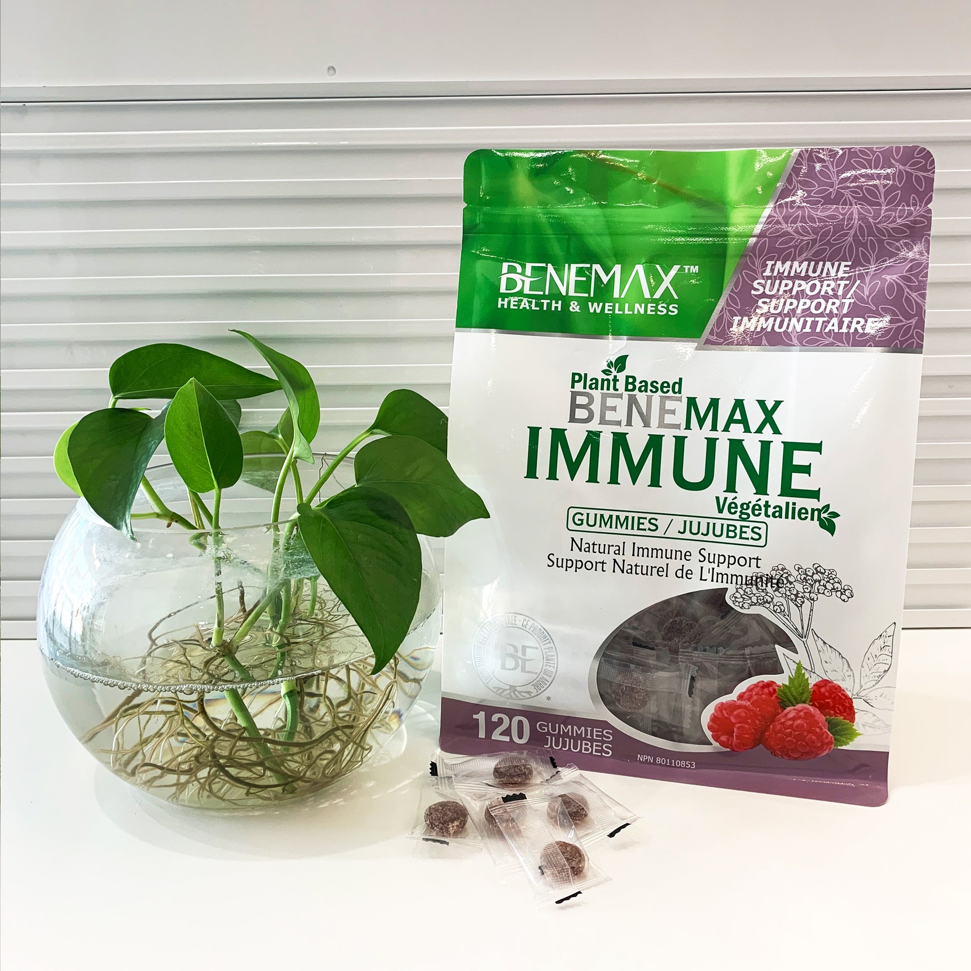 Immune Gummies relieve symptoms of cold and flu Single Sachet
