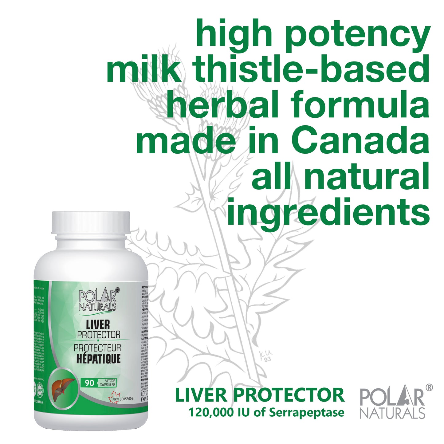 Polar Naturals Liver Protect 90 Capsules