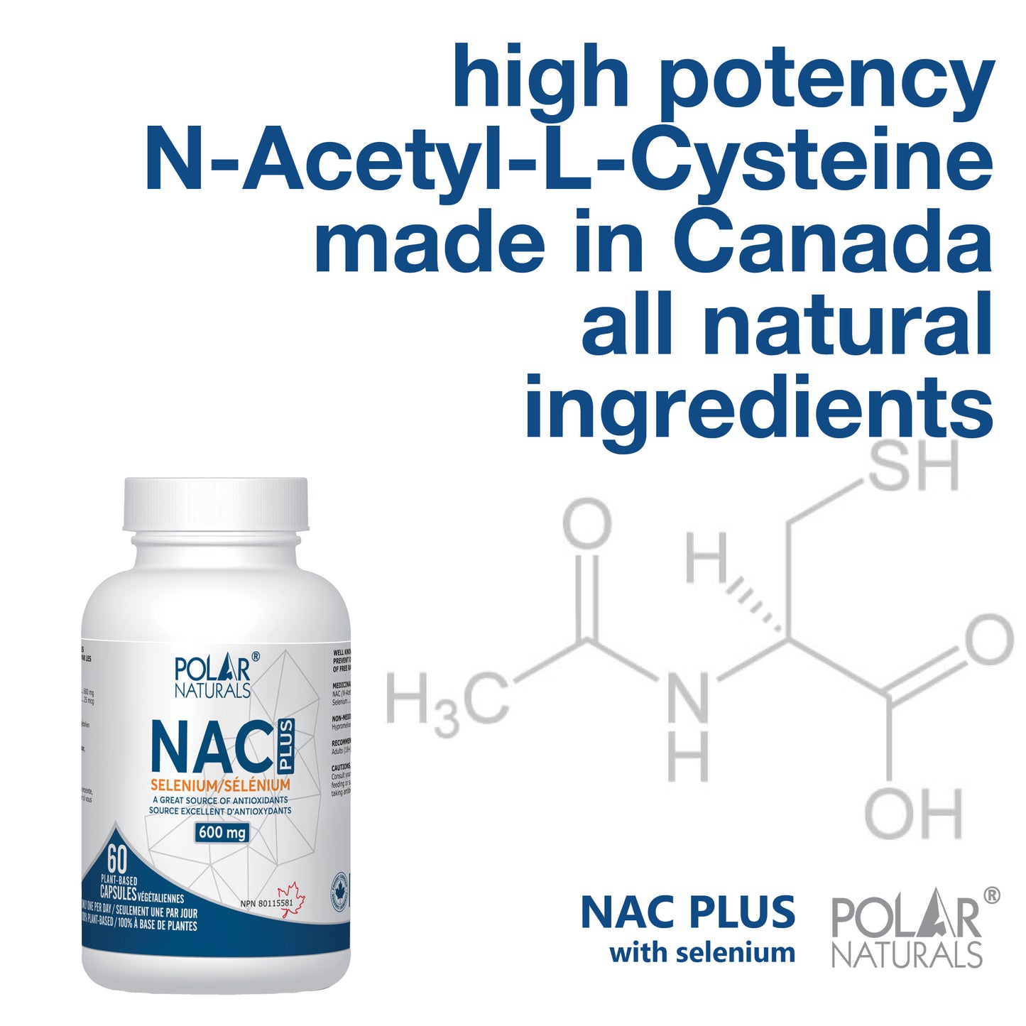 Polar Naturals NAC 60 Capsules