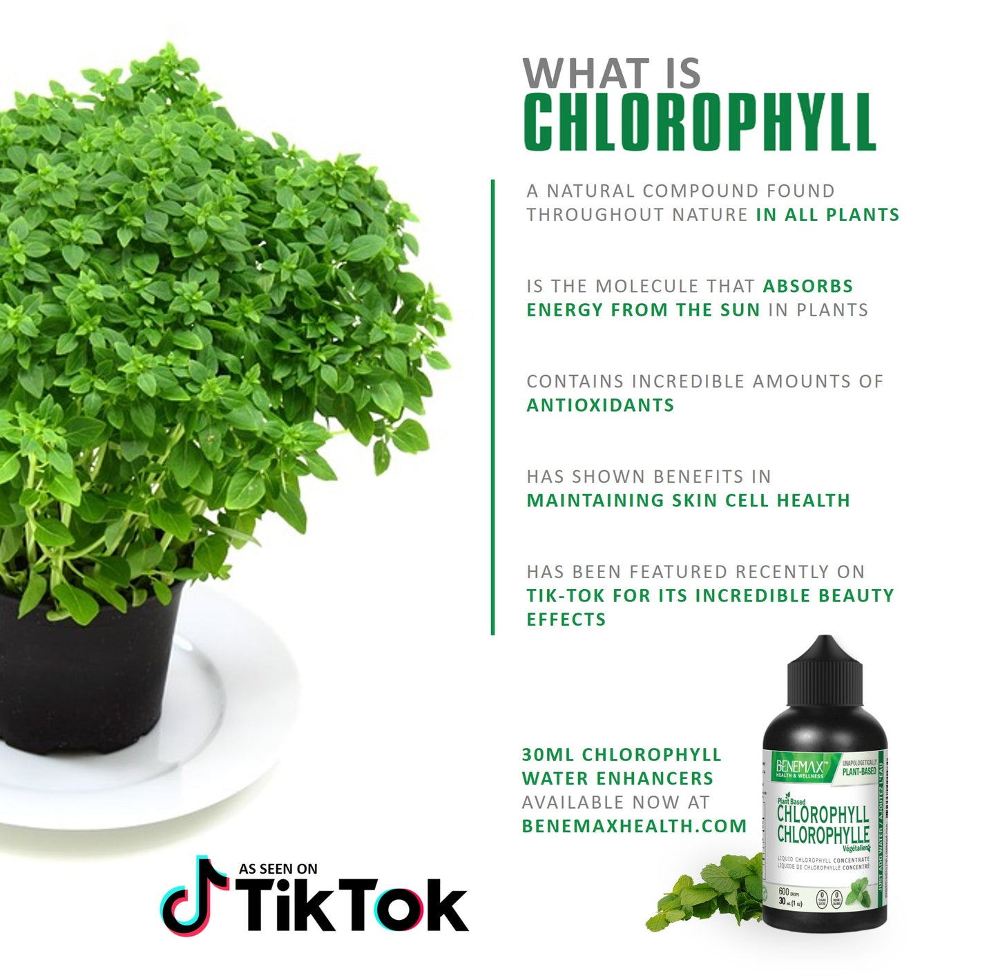 makes up to one cup of delicious Chlorophyll Water!