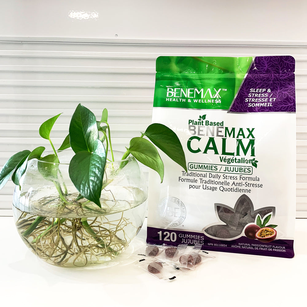 
                  
                    BENEMAX Calm Stress Relief 120 Gummies in Bag
                  
                
