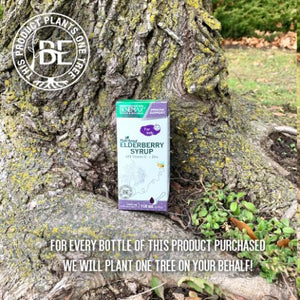 
                  
                    Kids' Elderberry Syrup with Vitamin C and Zinc 118mL
                  
                