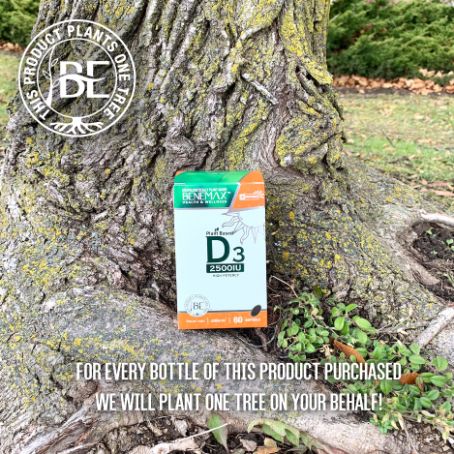 we will plant one tree on your behalf